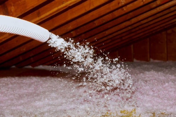 Best Insulation Replacement Services  in Raven, VA