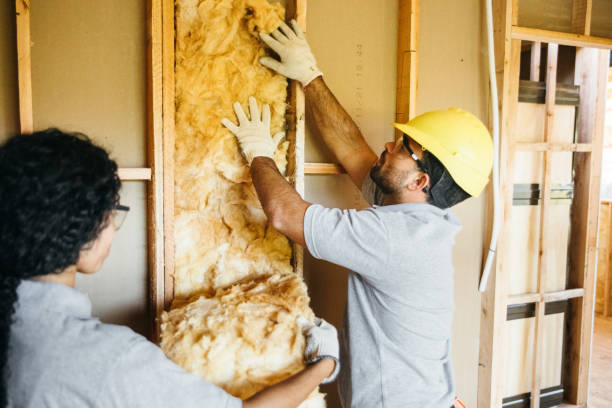 Best Insulation Removal Services  in Raven, VA